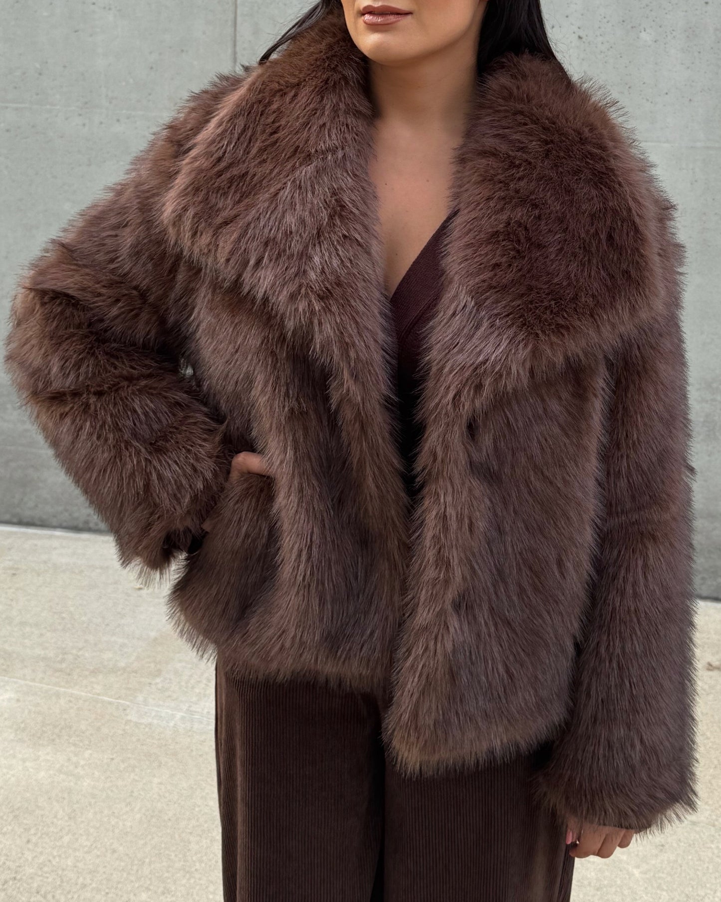 Rudi kailinukai BROWNY